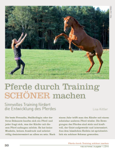 Pferde durch Training schoener machen